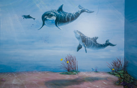 Dolphins by Sally Eckert